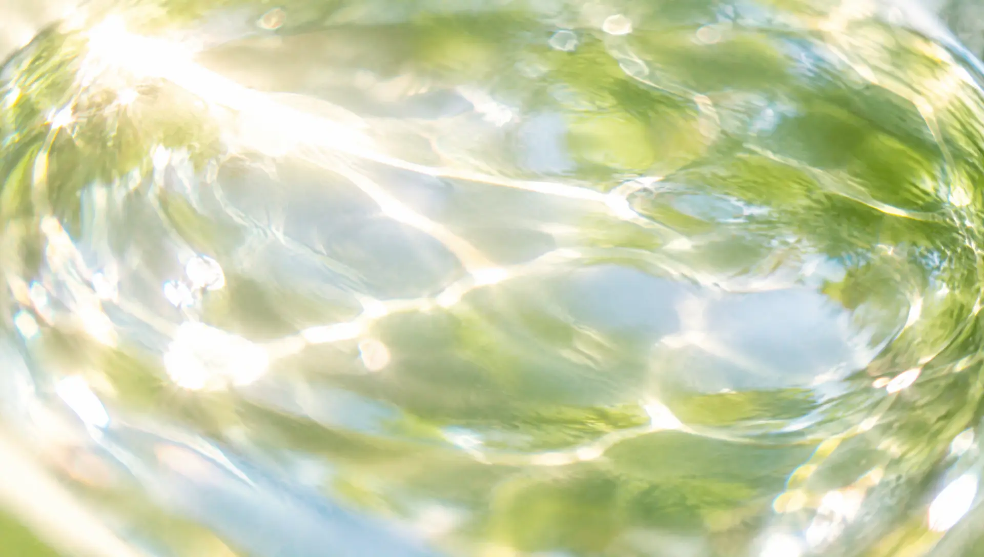 The skin of the water, bright with moving light.
